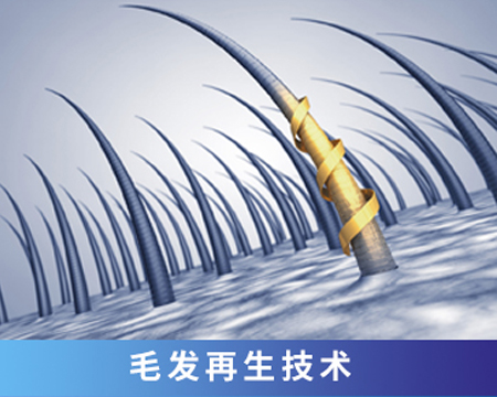 毛發再生技術